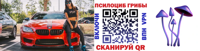 Галлюциногенные грибы мицелий  Абакан 